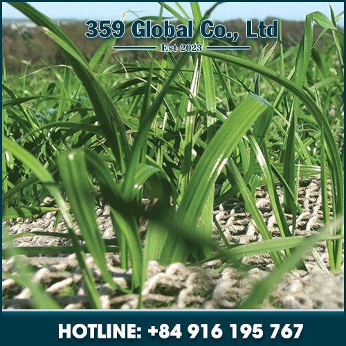 Jute netting