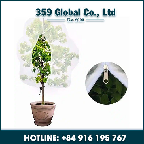 Plant cover
