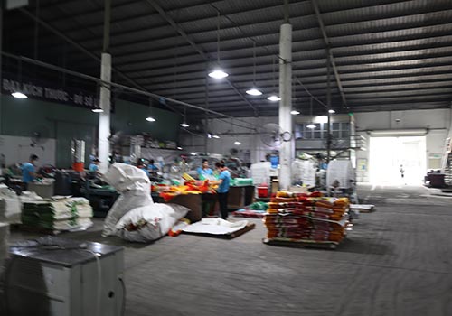 359 GLOBAL COMPANY LIMITED